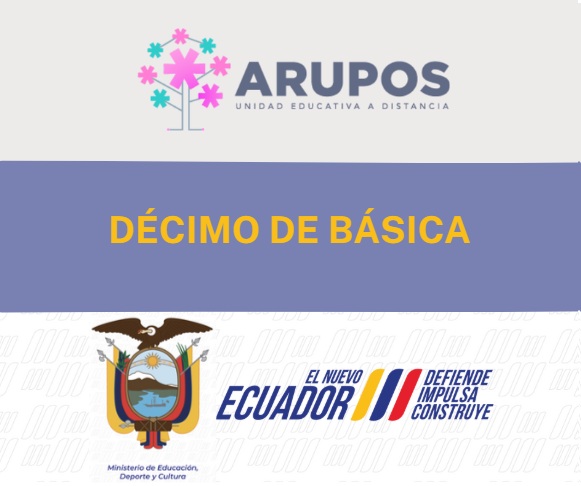 DÉCIMO DE BÁSICA 2025 - 2026
